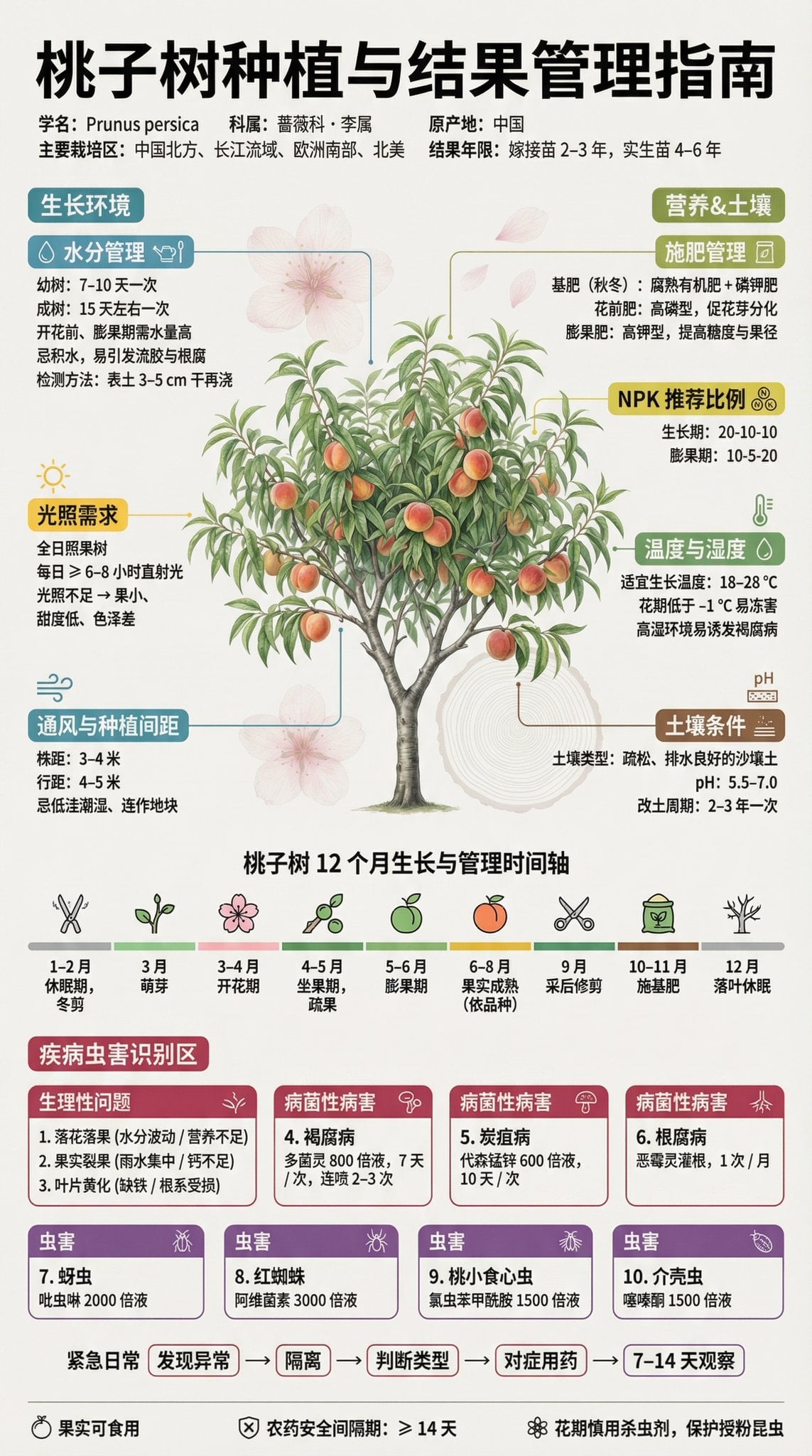 Fruit Tree Growing Science Board (2)